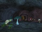 Darkroot Cavern