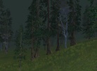 Nektulos Forest