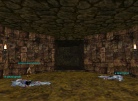 Dead Gnolls Litter the Entrance