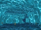 Shellscale Water Maze